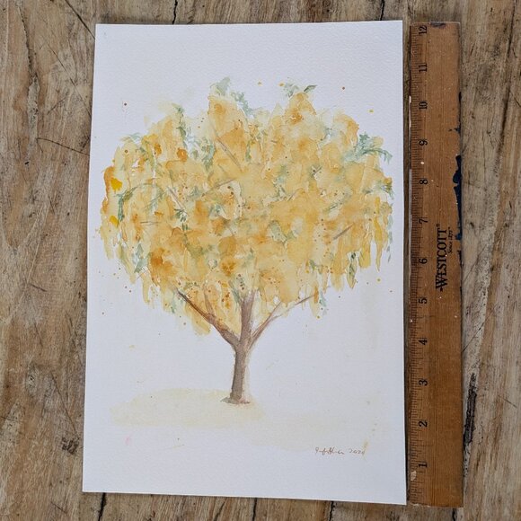 Golden Shower Tree Cassia Fistula: Original Watercolor Painting - Picture 4 of 5